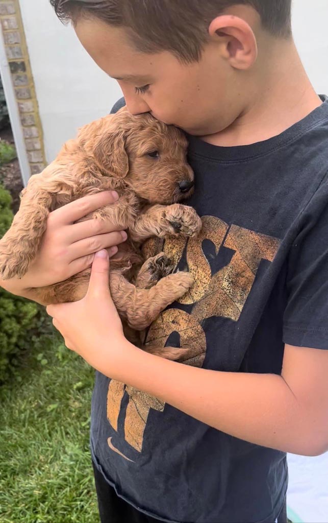 small goldendoodle puppy being held in the arms of a young boy and who is kissing the top of the puppy's head