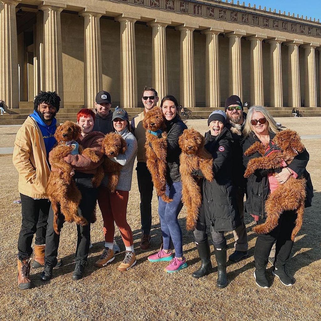 A group of people outside a building with lots of columns, all the people are holding red goldendoodle adult dogs in their arms.