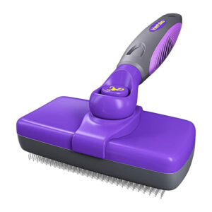 Brush800